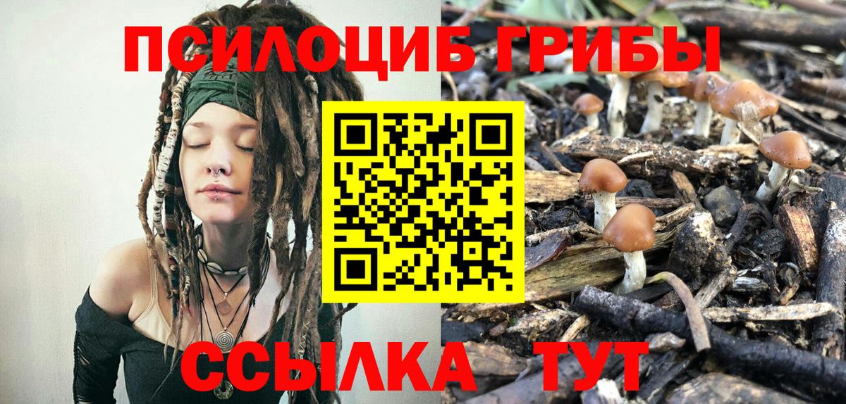Галлюциногенные грибы MAGIC MUSHROOMS  Вход с VPN  Галлюциногенные грибы MAGIC MUSHROOMS  Холмск 